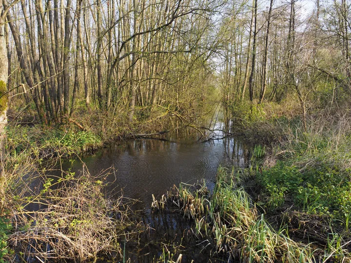 Kalkense Meersen (België)